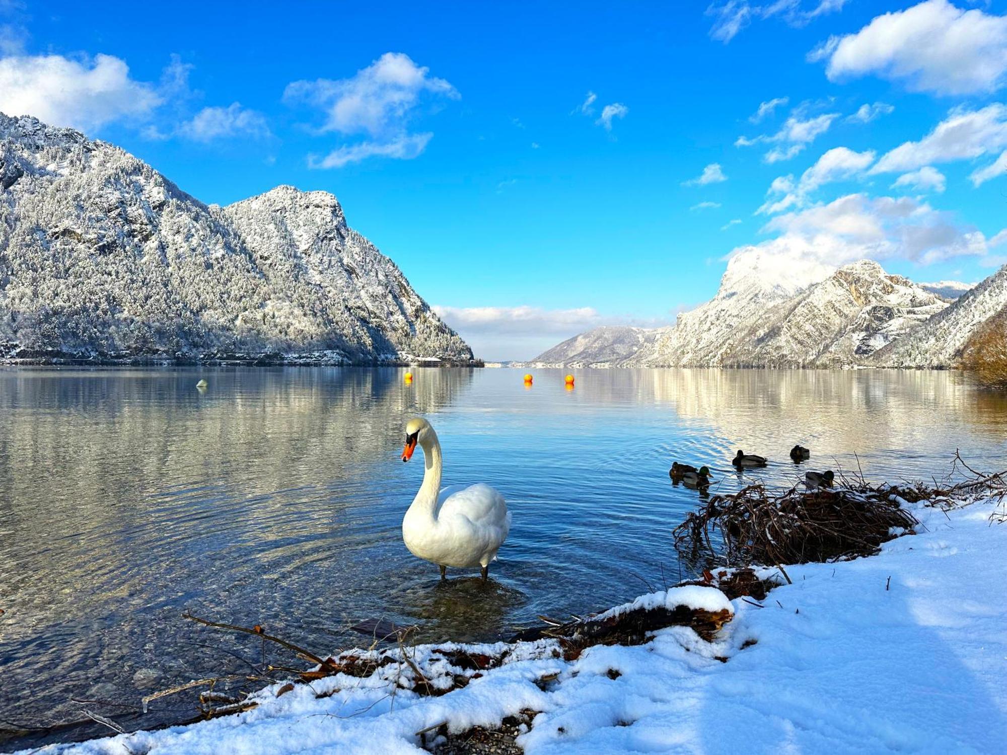 Appartement Bergmann Ebensee Buitenkant foto