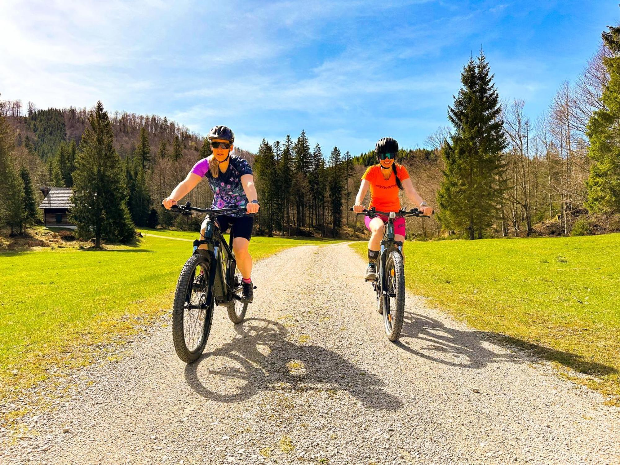 Appartement Bergmann Ebensee Buitenkant foto